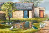 Susan Mary Webb, FARMYARD DUCK POND