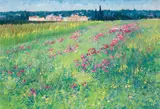 Brett McEntagart, FIELD FLOWERS