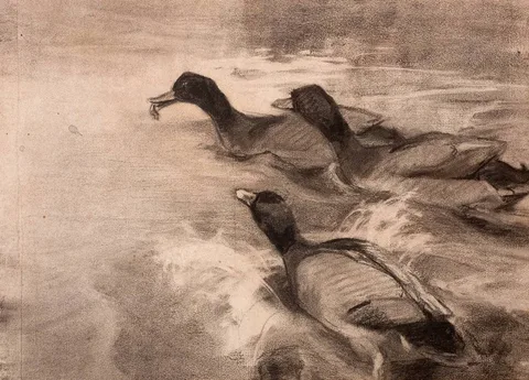 Mildred Anne Butler, A TASTY MORSEL, charcoal