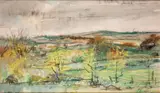 Terence P. Flanagan, LANDSCAPE