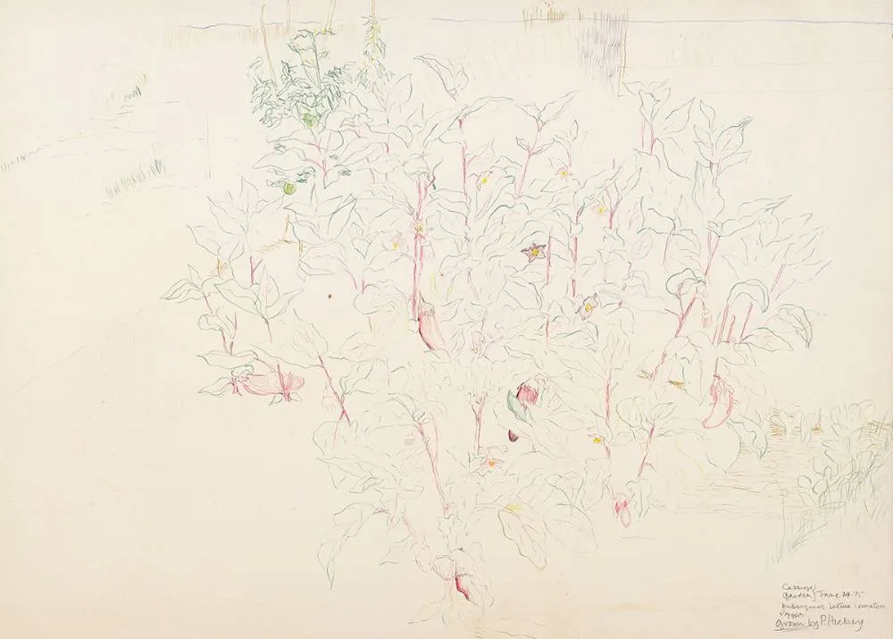 CASSIOPE GARDEN by Patrick Hickey, 1975, coloured pencils, offered Jul 2023