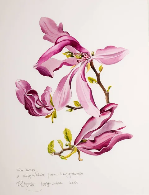 Patricia Jorgensen, MAGNOLIA, 2001, watercolour