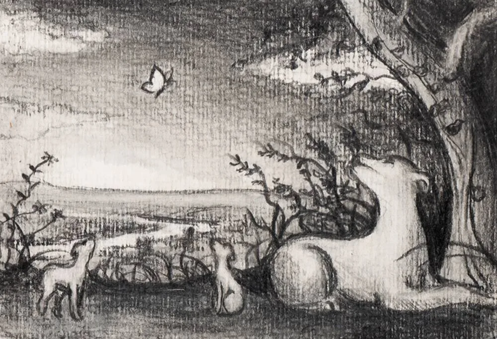 Robert Ryan, BUTTERFLY, graphite on paper