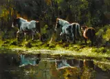 Mark O'Neill, SLANEY REFLECTIONS