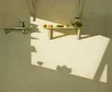 Carey Clarke, STILL LIFE - SUBSTANCE AND SHADOW