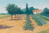Brett McEntagart, THE VEGETABLE GARDEN, FRANCE