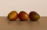 THREE MANGOES, Whyte's 2023