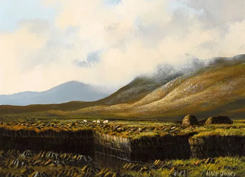 Liam Jones, OUTSIDE KENMARE, COUNTY KERRY, oil on canvas
