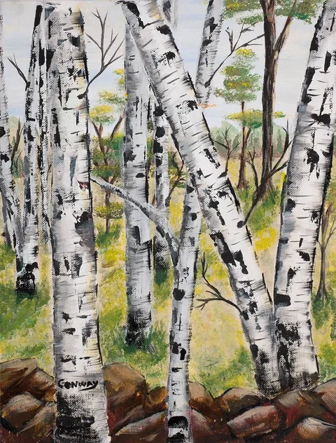 Eugene Conway, SILVER BIRCHES, oil on canvas board; (unframed)