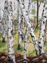 Eugene Conway, SILVER BIRCHES