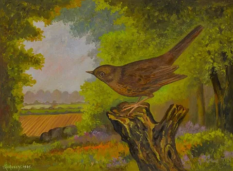 Tom McAssey, HEN BLACKBIRD, 1985, oil on board