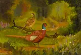 PHEASANTS, Whyte's 2023