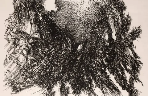 Paul Mosse, WATERHEN, 1983, etching; (no. 8 from an edition of 25)