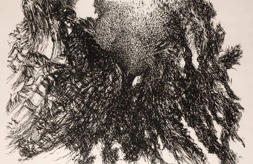 WATERHEN by Paul Mosse, 1983, etching; (no. 8 from an edition of 25), offered Dec 2022