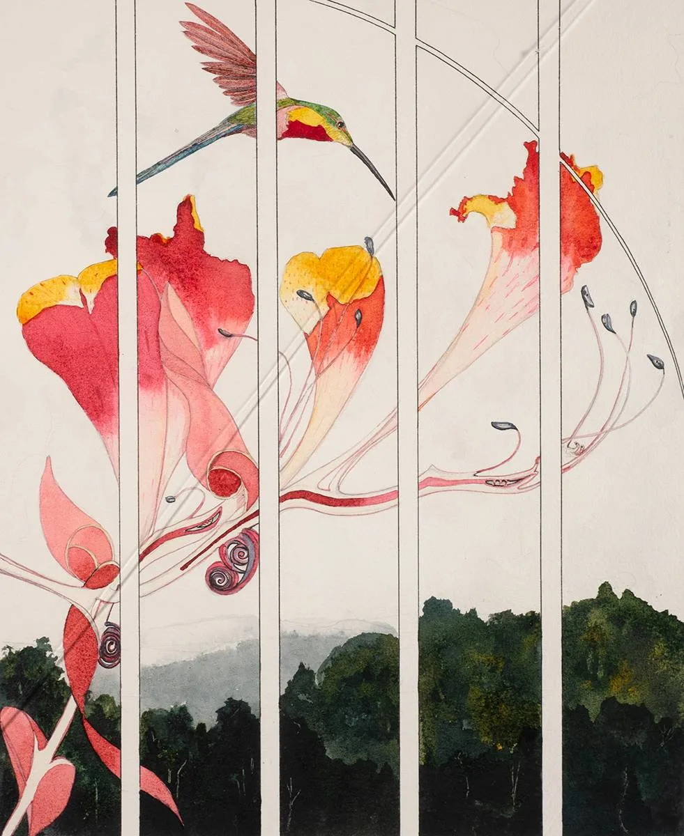Colin Murphy, BIRD AND FLOWERS, ink and watercolour