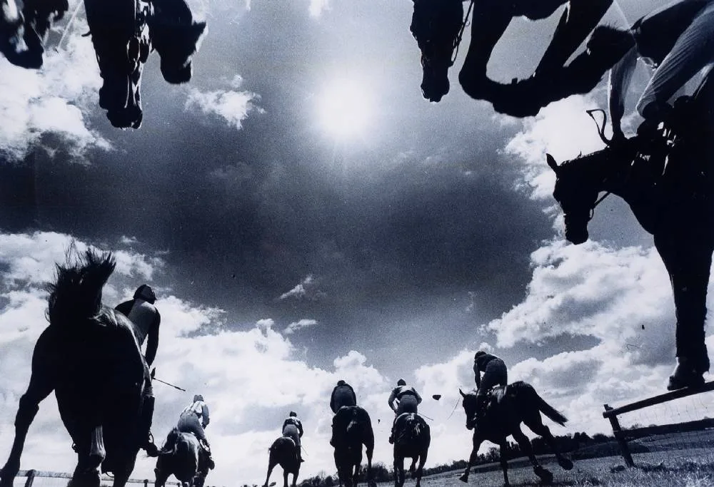Colman Doyle, HORSE RACE, 2006, photograph