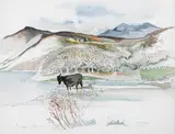 Pauline Bewick, CARAGH LAKE, COUNTY KERRY