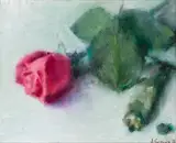 Thomas Ryan, STILL LIFE WITH PINK ROSE