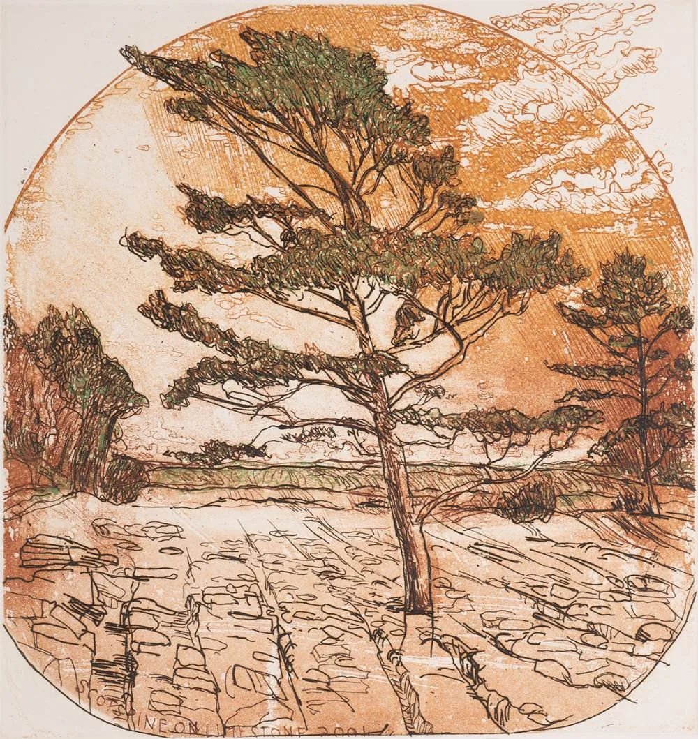 SCOTSPINE ON LIMESTONE by Brian Bourke, 2004, etching; (no. 111 from an edition of 220); (unframed), sold Oct 2022