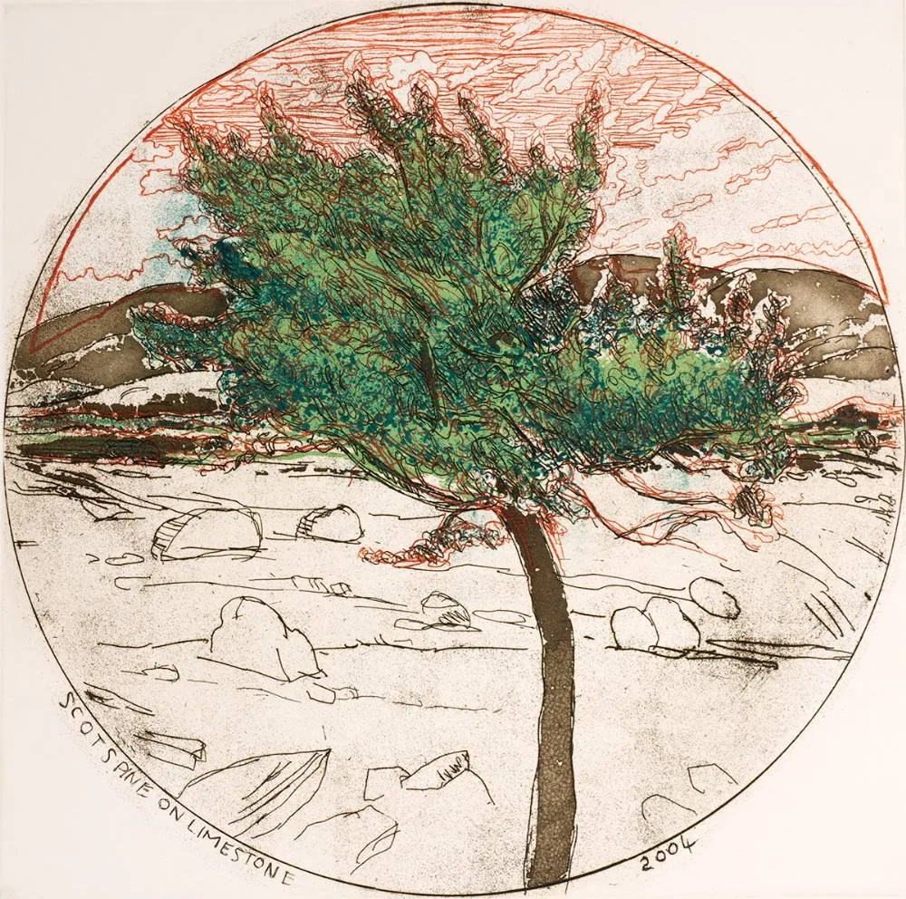 SCOTSPINE ON LIMESTONE by Brian Bourke, 2004, etching; (no. 211 from an edition of 220); (unframed), sold Oct 2022