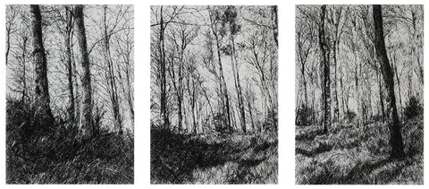 Michael Wann, WOODLAND THREE (TRIPTYCH), 2003, carbon ink on canvas