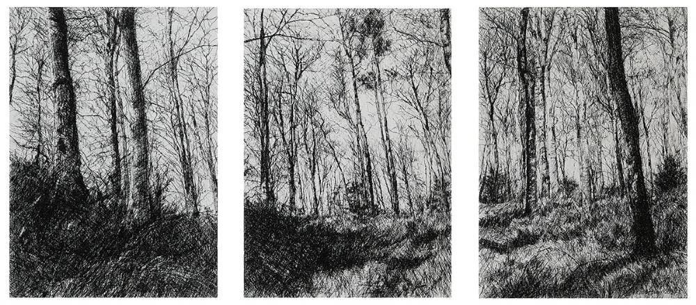 Michael Wann, WOODLAND THREE (TRIPTYCH), 2003, carbon ink on canvas