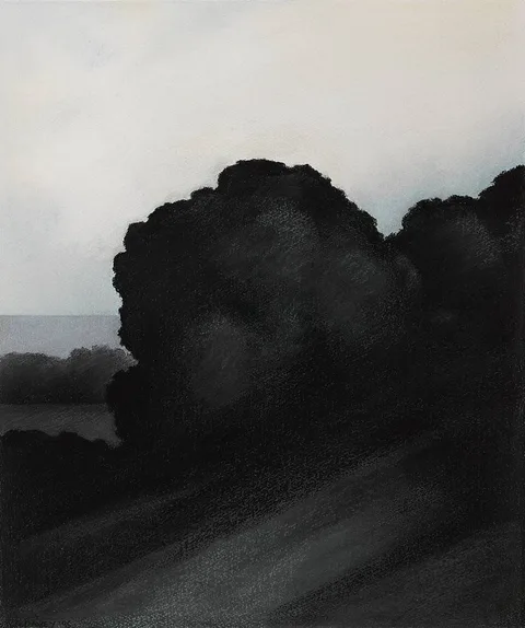 Rosaleen Davey, DARK LIGHT, 1995, pastel