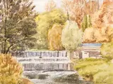 Tom Nisbet, DODDER WEIR, COUNTY DUBLIN