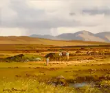 Arthur H. Twells, BOG NEAR LOUGH ANURE, COUNTY DONEGAL