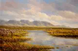 Gerry Marjoram, ROUNDSTONE BOG, CONNEMARA, COUNTY GALWAY