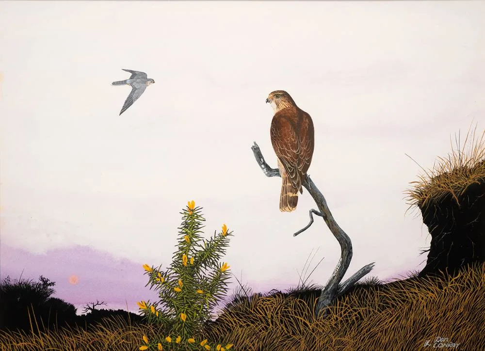 Don Conroy, BIRDS, acrylic on paper