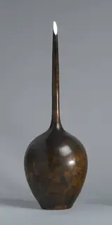 Michael Foley, VASO