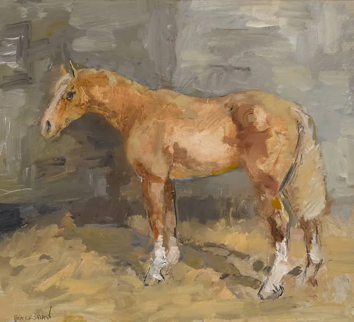 A CHESTNUT COB by Basil Blackshaw, oil on board, sold Sep 2022
