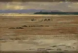 Ciaran Clear, GATHERING SEAWEED, EVENING, SOUTH STRAND, RUSH, COUNTY DUBLIN