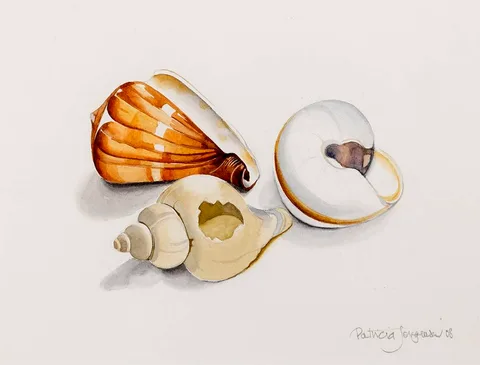 Patricia Jorgensen, SHELL GROUP II, 2008, watercolour