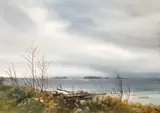 Phyllis del Vecchio, JETTY