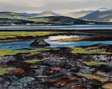 John Skelton, SPRING, CARLINGFORD LOUGH, COUNTY LOUTH