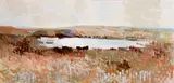 Terence P. Flanagan, A LITTLE LAKE