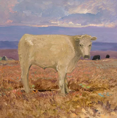 Jeremiah Hoad, CATTLE ON THE BOG, oil on board