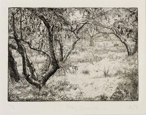 Estella Solomons, PEAR TREES, etching; (no. 2 from an edition of 3)