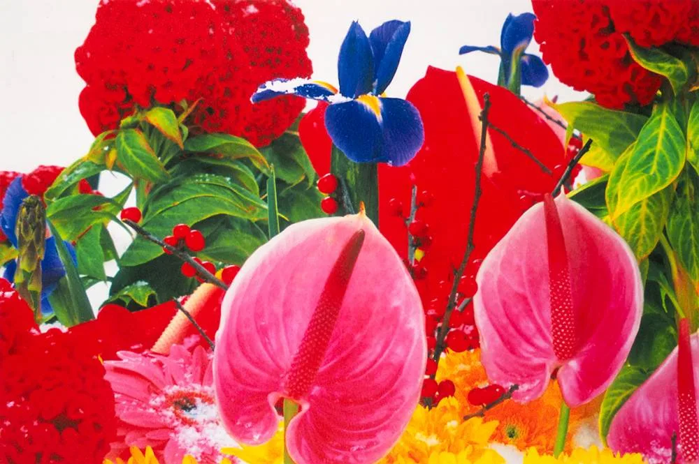 UNTITLED by Marc Quinn, pigment print on watercolour paper, coated with UV filtering varnish; (no. 40 from an edition of 100), offered Mar 2022