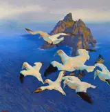 Tom Roche, SKELLIG MICHAEL, COUNTY KERRY