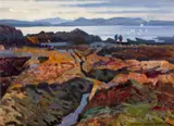John Skelton, SEAWEED BEDS, CONNEMARA COAST