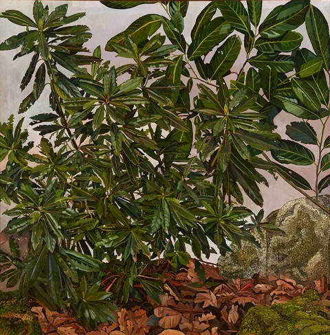 Philip Moss, FOREST SCENE WITH RHODODENDRON LEAVES, oil on canvas