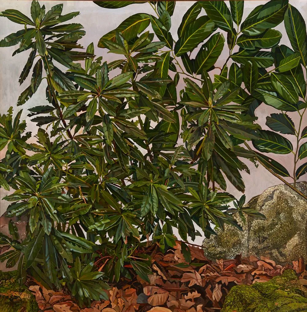 Philip Moss, FOREST SCENE WITH RHODODENDRON LEAVES, oil on canvas