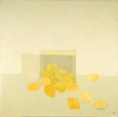 Terence Coyle, LEMONS, oil on canvas; (unframed)