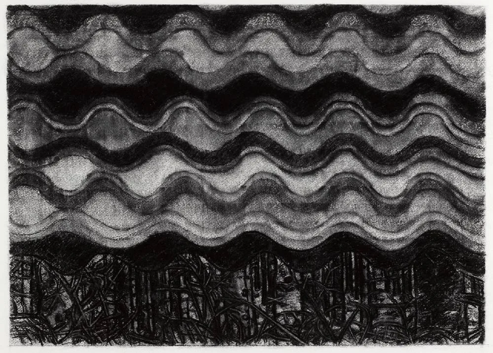 Gary Coyle, TWILIGHT FOREST - STUDY, 2015, charcoal on paper