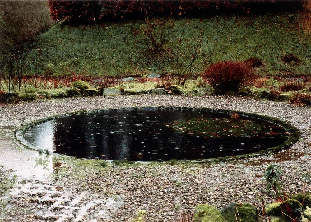 POOL by Ruth McHugh, 2005, Lambda print; (from an edition of 12), offered Dec 2021