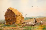 Claude Hayes, SHEEP AND HAYSTACK