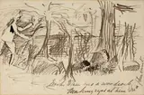 Robert Gregory, THE WOODCOCK